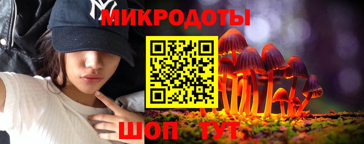 Беслан  Псилоцибиновые грибы Cubensis  Вход с VPN 