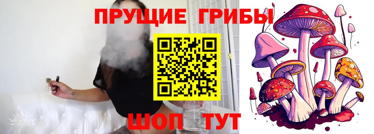 Галлюциногенные грибы MAGIC MUSHROOMS Беслан